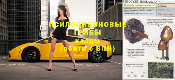стаф Нягань