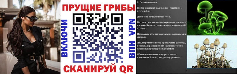 Галлюциногенные грибы GOLDEN TEACHER  купить закладку  Каргат 